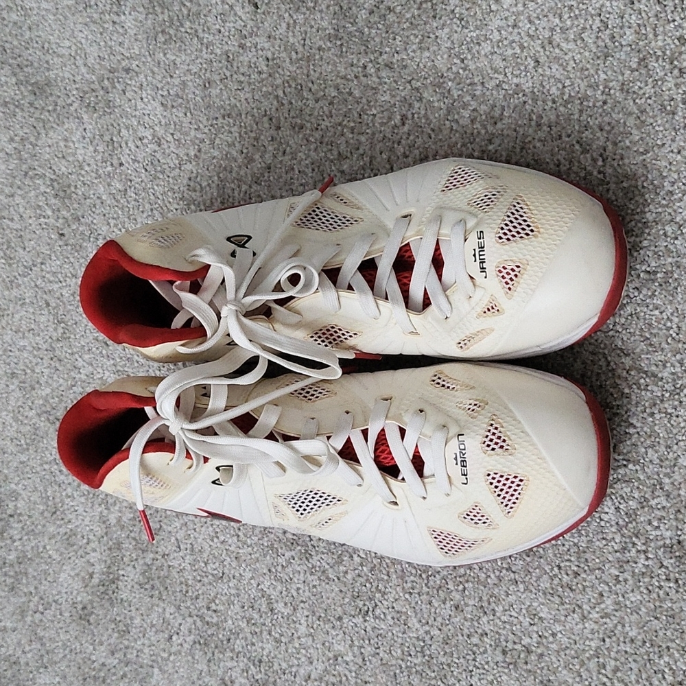 Nike Lebron 8 PS